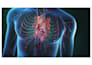 create 3d cardiovascular medical device animation, stent and catheter explainer